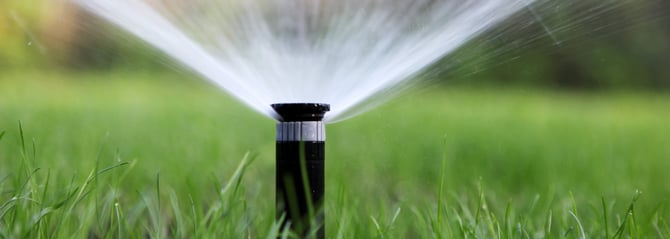 AdobeStock_110789919-1